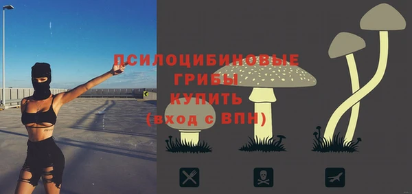 кокс Нягань