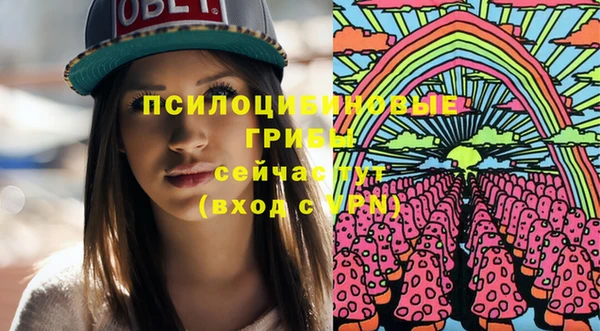ПСИЛОЦИБИНОВЫЕ ГРИБЫ Новокубанск