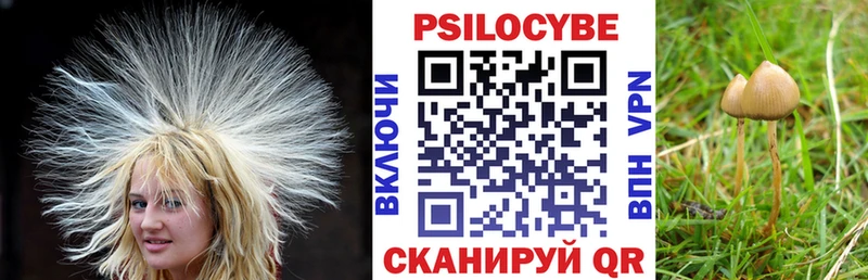 Псилоцибиновые грибы ЛСД  Починок 